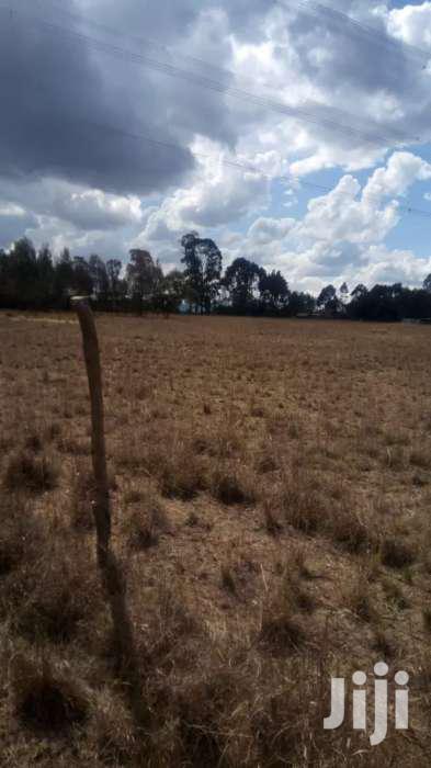 Selling 16 Acres in Nyahururu Ndemi - thumbnail 4
