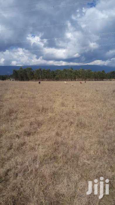 Selling 16 Acres in Nyahururu Ndemi - thumbnail 5