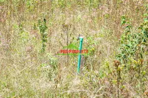 Prime Residential Plot (Gated Community Concept) in Kamangu
