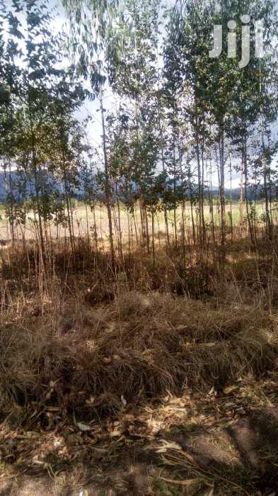 Selling 16 Acres in Nyahururu Ndemi - thumbnail 6