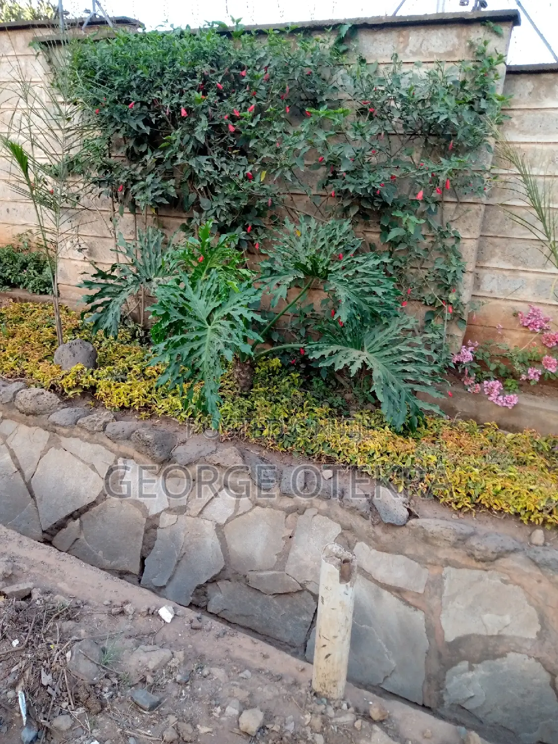 Landscaping, Lawn Mowing Trimming And Designing