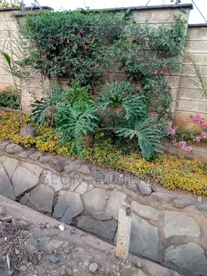 Landscaping, Lawn Mowing Trimming And Designing