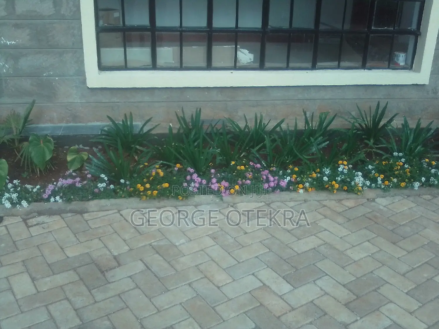 Landscaping, Lawn Mowing Trimming And Designing