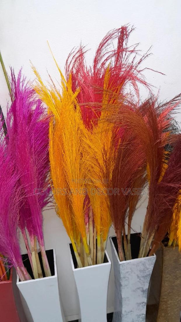Coloured Pampas Grass Available - main view