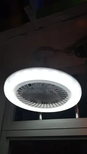 Led Ceiling Fan With Light