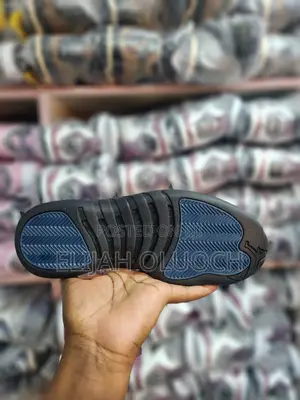 Jordan 12 Jump Man
