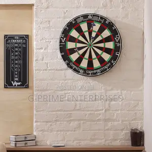 Professional Dart Board
