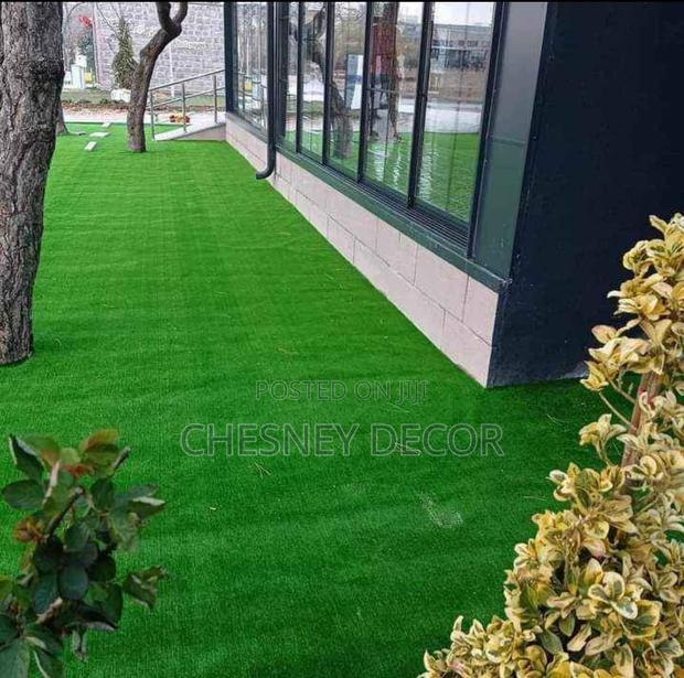 Turf Grass Turf Grass Turf Grass Turf Grass