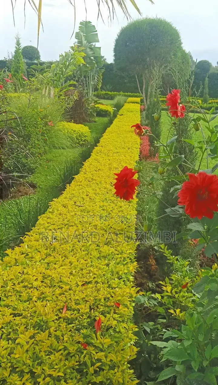 Garden Management
