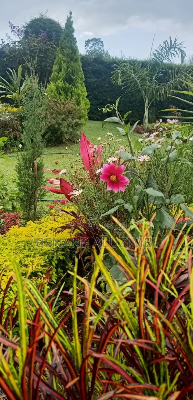 Garden Management