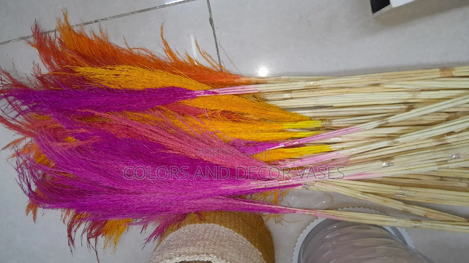 Pink Orange Pampas Grass KSH 150 a Bunch