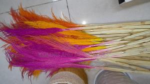 Pink Orange Pampas Grass KSH 150 a Bunch - thumbnail 2