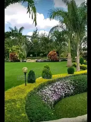 Landscaping and Gardening