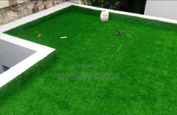 Turf Grass Turf Grass Turf Grass Turf Grass Turf Grass
