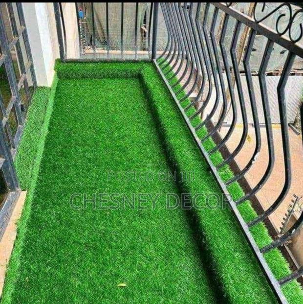 Turf Grass Turf Grass Turf Grass Turf Grass