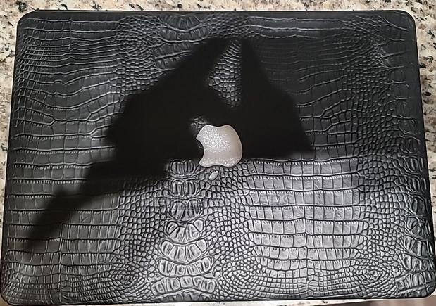 Black Faux Crocodile Macbook Air 13” Case - main view