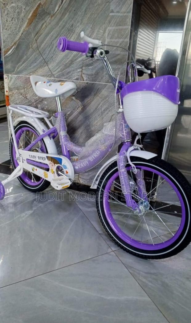 Lady Bird Girls Bike Size 16