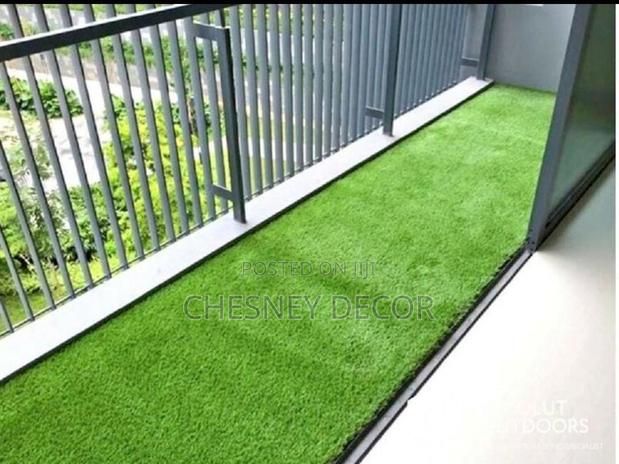 Turf Grass Turf Grass Turf Grass Turf Grass