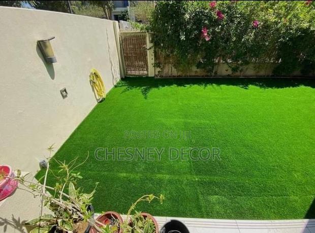 Turf Grass Turf Grass Turf Grass Turf Grass
