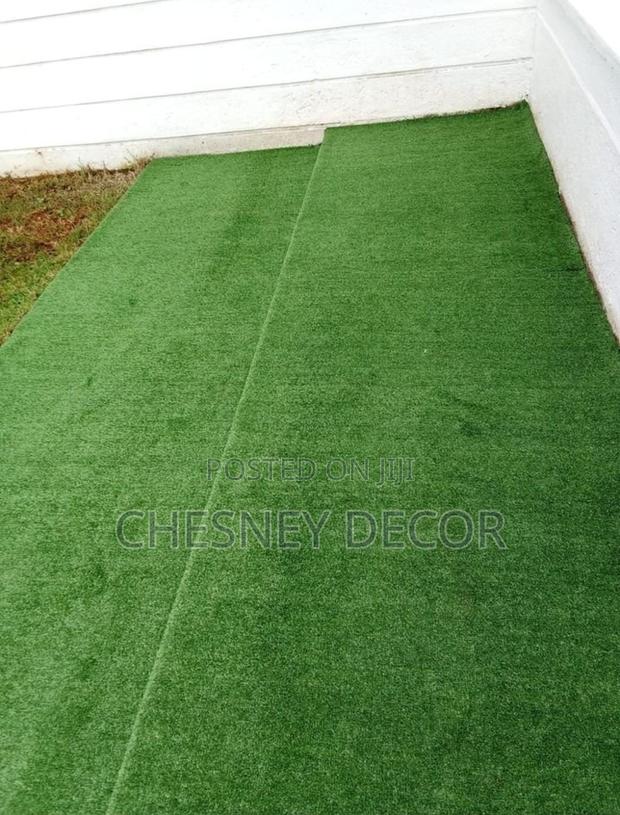 Turf Grass Turf Grass Turf Grass Turf Grass