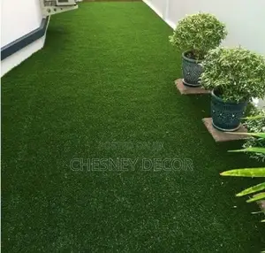 Turf Grass Turf Grass Turf Grass Turf Grass