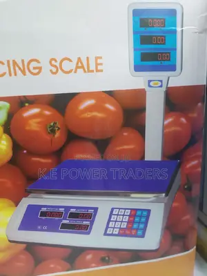 50kg Digital Computing Scale