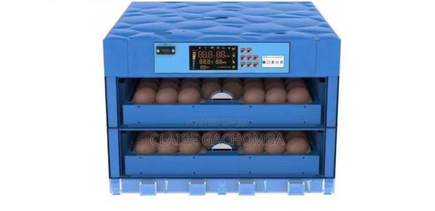 128 Ac/Dc Eggs Incubator - main view