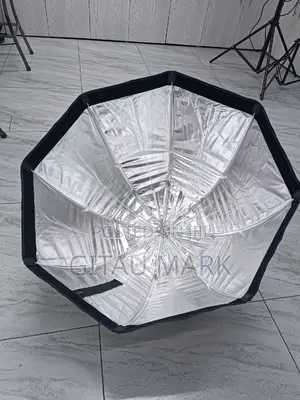 Godox 80cm Umbrella Type Speedlite Octagon Softbox