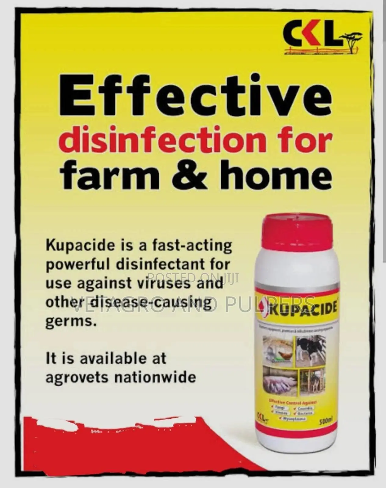 Kupacide Disinfectant