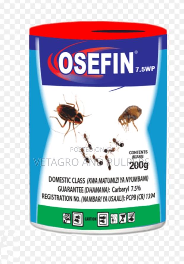 Osefin Dudu Dust - main view