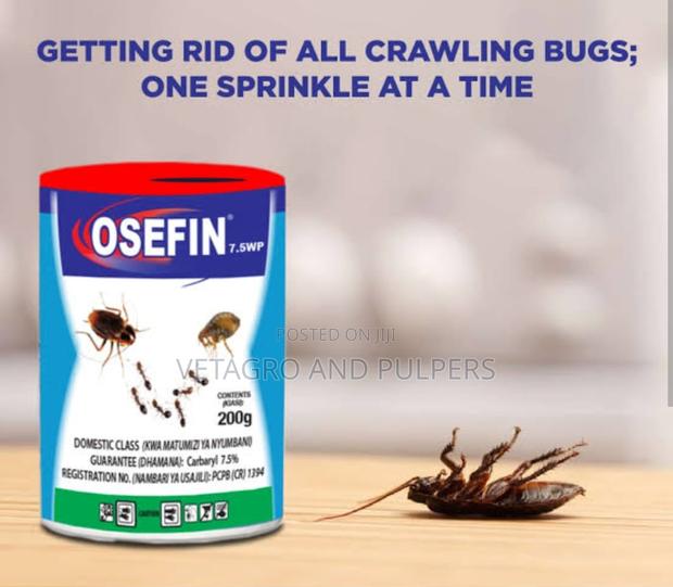 Osefin Dudu Dust - thumbnail 2