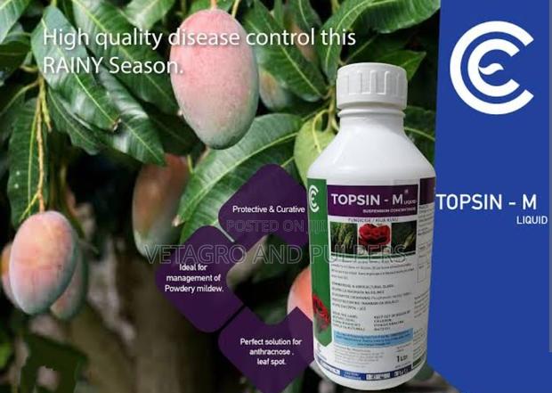 Topsin M (Elgon) - thumbnail 3