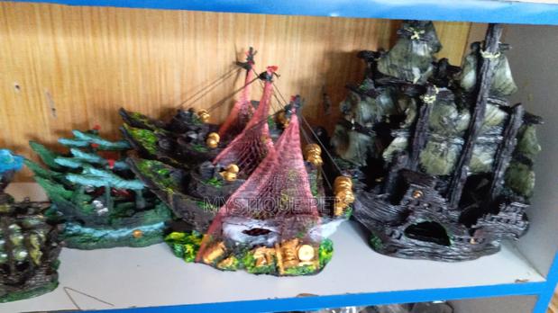 Aquarium Ornamental - main view