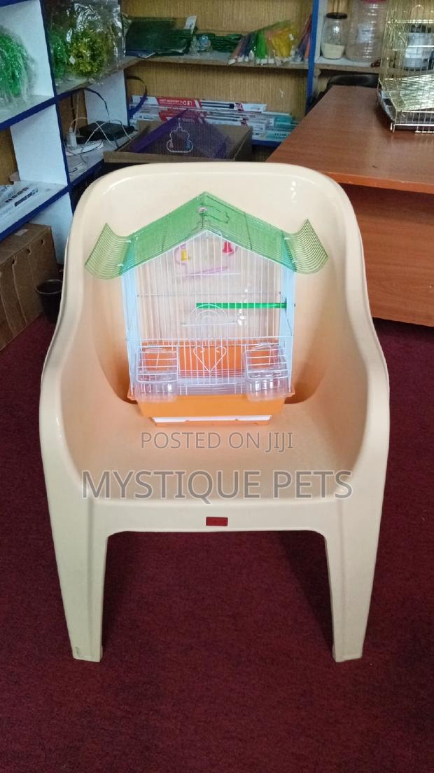 Love Birds -Cage - main view