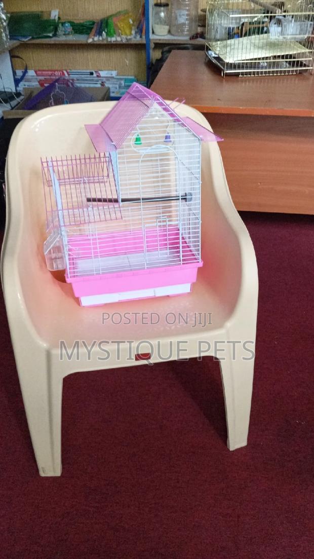 Loving Bird Cage - main view