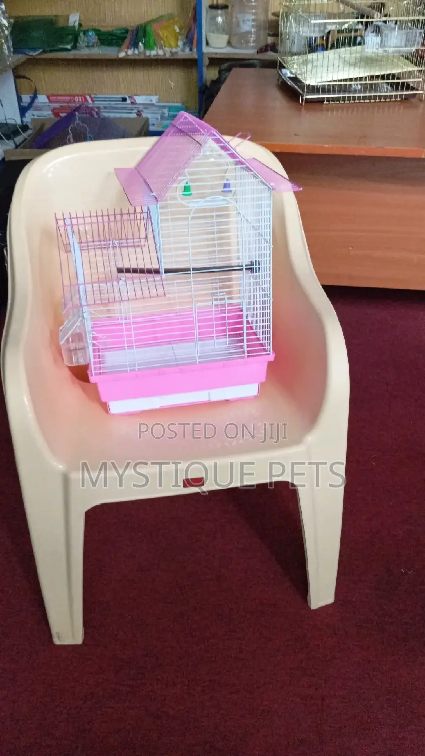 Loving Bird Cage