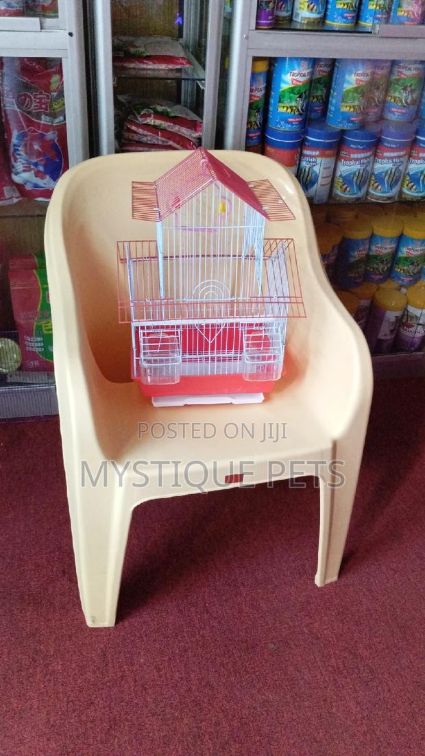 Budgies Cage - main view