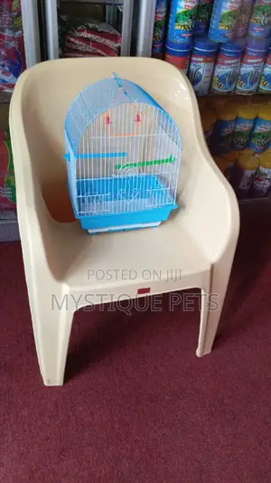 Blue White Bird Cage