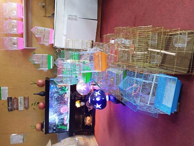 Different Cages - main view