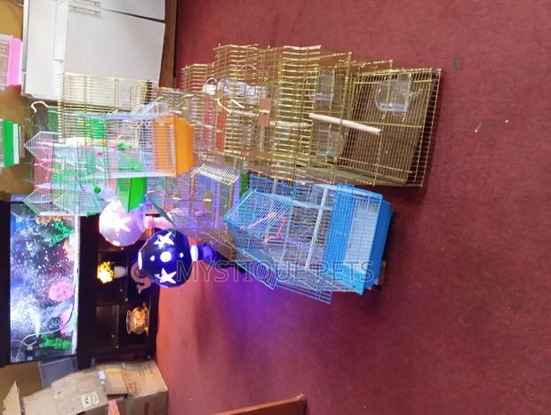 Different Cages - thumbnail 3