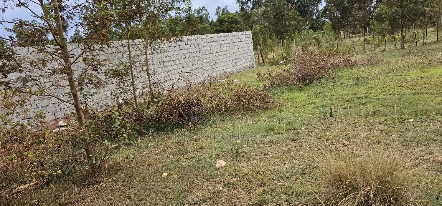 Prime Plots for Sale in Segero Kipkenyo