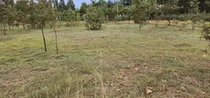 Prime Plots for Sale in Segero Kipkenyo