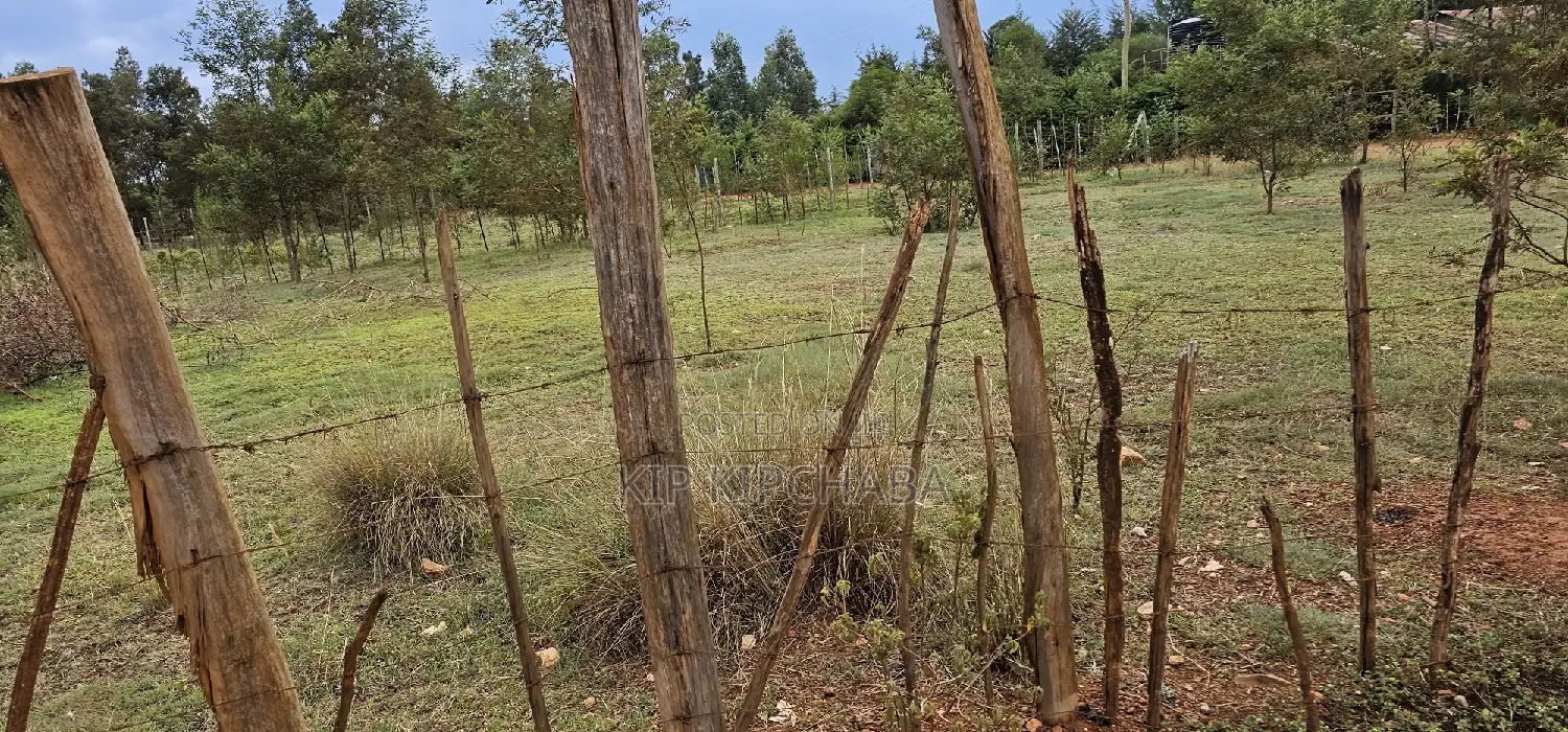 Prime Plots for Sale in Segero Kipkenyo