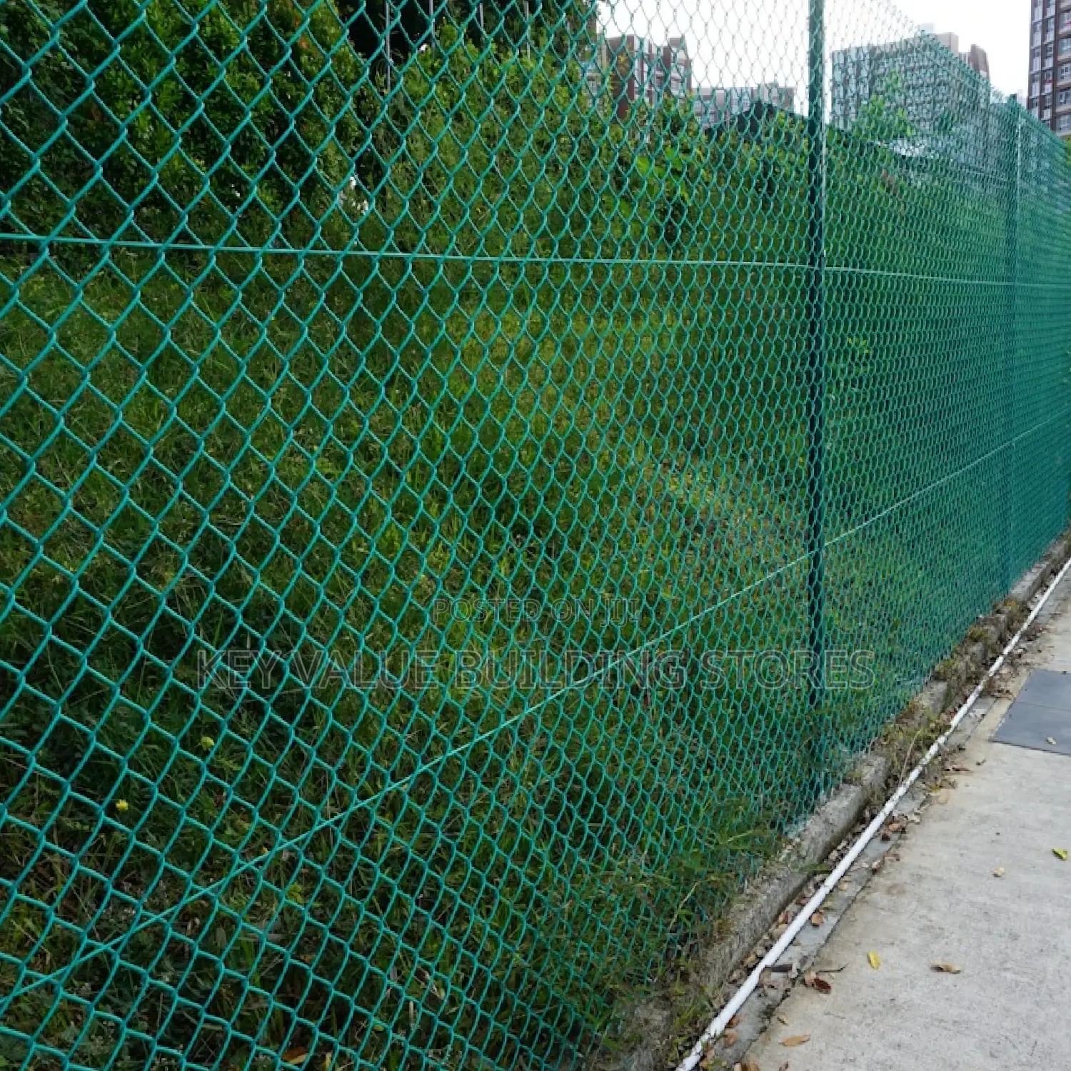Plastic Coated Chainlink 12.5g Mesh 50×50 6fts