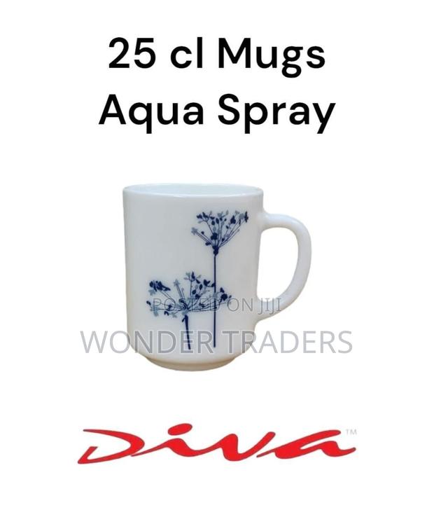 225 Cl Mugs (250ml)
Aqua Spray Per Box
6 Sets (36pcs) in Box