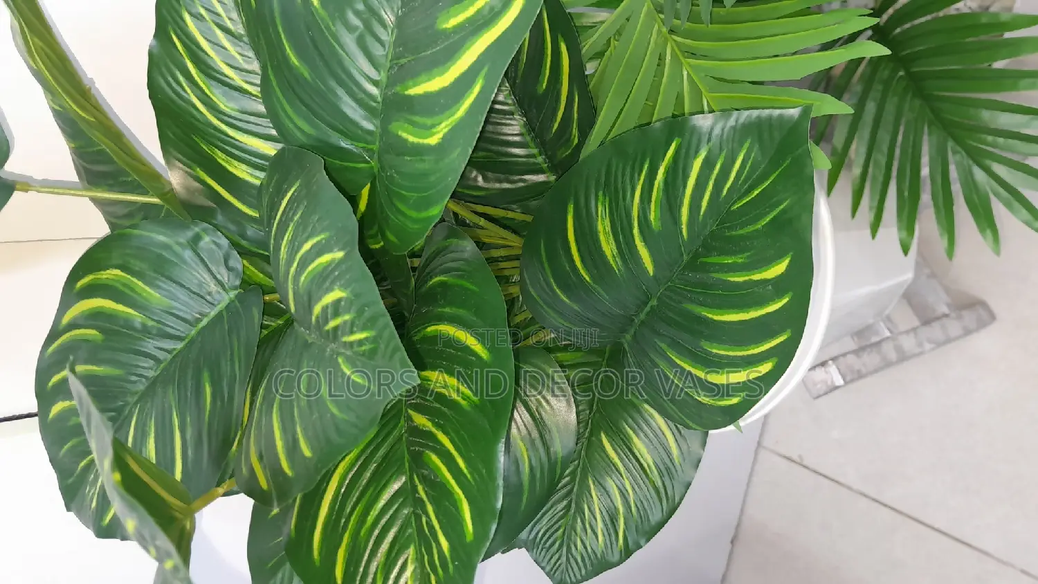 Stripped Plant 70cm Long