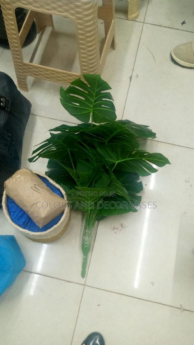 Monstera Plant, Basket and Pebble Stones