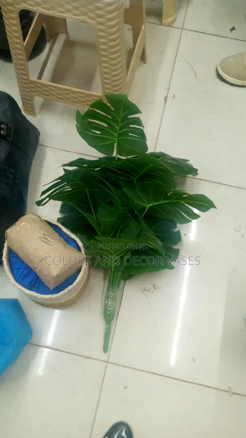 Monstera Plant, Basket and Pebble Stones