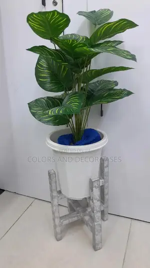 Plant, Plastic Vase and Stand