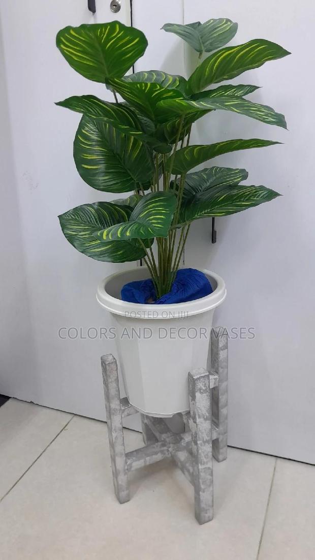 Plant, Plastic Vase and Stand